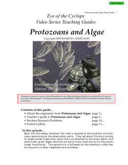Protozoans and Algae - Distribution Access
