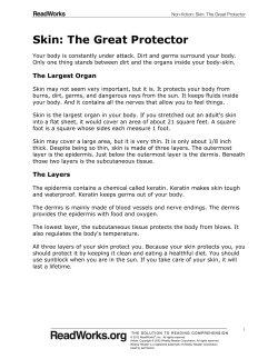 Skin: The Great Protector