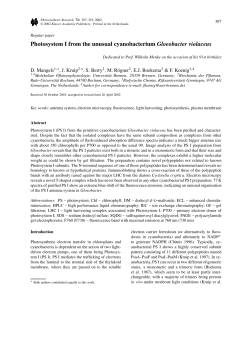 Photosystem I from the unusual cyanobacterium Gloeobacter
