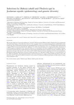 Infections by Babesia caballi and Theileria equi in Jordanian equids