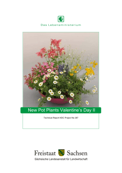 New Pot Plants Valentine`s Day II - Technical Report HDC Project