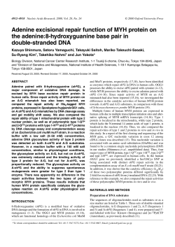 Adenine excisional repair function of MYH protein
