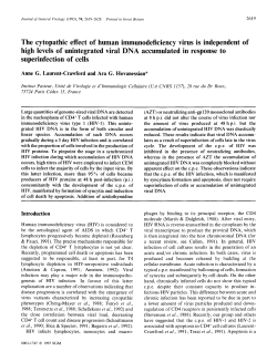 The cytopathic effect of human immunodeficiency virus is