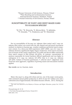 SUSCEPTIBILITY OF FLINT AND DENT MAIZE EARS TO