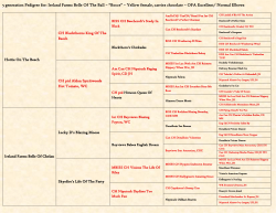 Bocce`s Pedigree