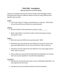 TASK CARD: Investigation Natural Selection of Finch Beaks