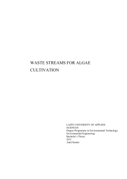 Kirjallisen ty&ouml;n pohja