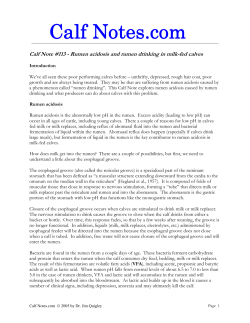 Rumen acidosis and rumen drinking in milk-fed
