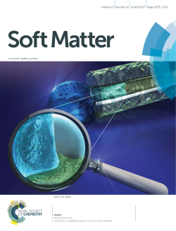 Dynamics of capillary transport in semi