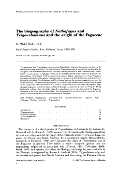 The biogeography of Nothofagus and Trigonobalanus and the origin