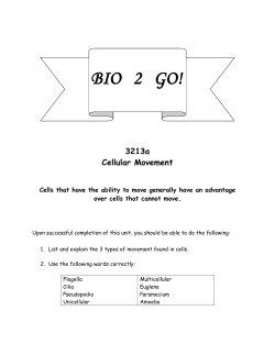 Cellular Movement