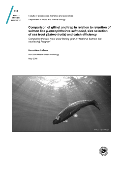 Comparison of gillnet and trap in relation to retention of salmon lice