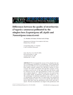 Differences between the quality of strawberries - Funpec-RP