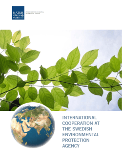 international cooperation at the swedish environmental protection
