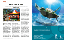 Heaven`s Rings - S3 amazonaws com