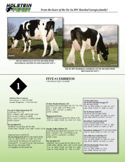 five #1 embryos - Holstein Plaza