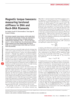 magnetic torque tweezers: measuring torsional stiffness in dna and