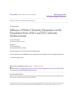 Influence of Water Chemistry Parameters on the Dissolution Rate of