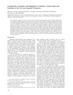Comparative Genomics and Regulatory Evolution: Conservation