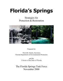 Florida`s Springs Report