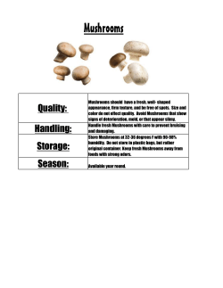 Mushrooms