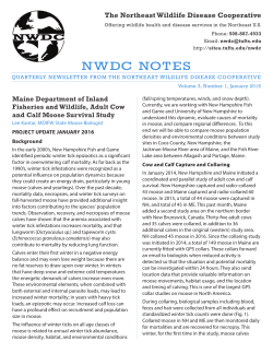 NWDC Notes_January 2016