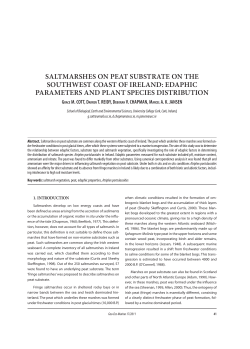 SaltmarSheS on peat SubStrate on the SouthweSt coaSt