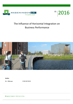 The Influence of Horizontal Integration on Business Performance