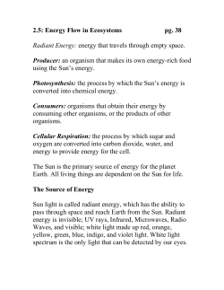 2.5 Energy Flow in Ecosystems