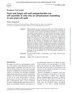 Full-length Yeast and fungal cell-wall polysaccharides can self