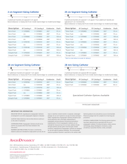 2 cm Segment Sizing Catheter 25 cm Segment
