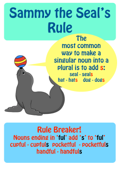 plural rules