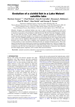 Evolution of a cichlid fish in a Lake Malawi satellite lake