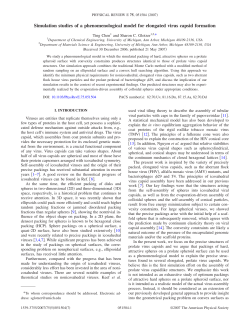 Simulation studies of a phenomenological model for elongated virus