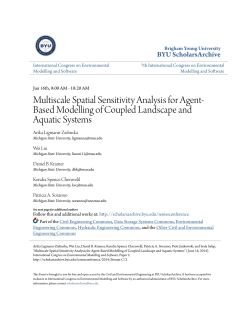 Multiscale Spatial Sensitivity Analysis for Agent
