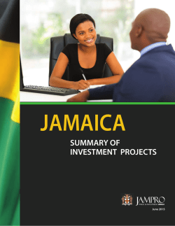 summary of investment projects