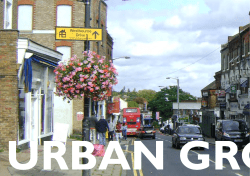 Lewisham Borough Wide Character Study Part 2