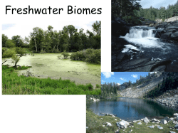 Freshwater Biomes