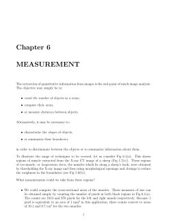 Chapter 6 MEASUREMENT