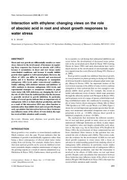 Interaction with ethylene: changing views on the role of abscisic acid