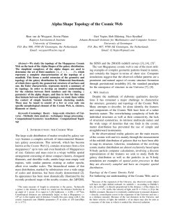 Alpha Shape Topology of the Cosmic Web