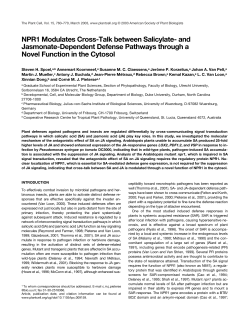 NPR1 Modulates Cross-Talk between Salicylate