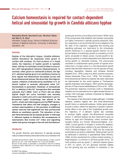 Calcium homeostasis is required for contact