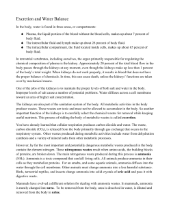 Excretion and Water Balance