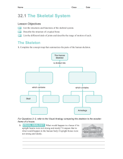 HOMEWORK Skeletal System Chapter 32