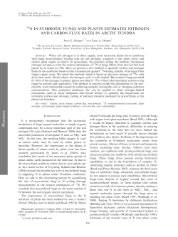 15N content in symbiotic fungi and plants estimates nitrogen and