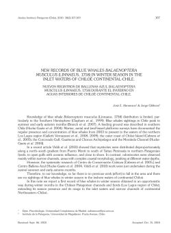 NEW RECORDS OF BLUE WHALES BALAENOPTERA