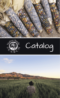 Start Your Seed Collections Here!