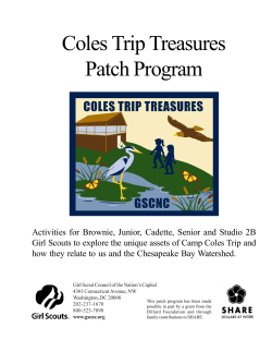 Coles Trip Treasures Patch Program