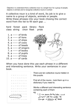 Activity 004: Collective Nouns